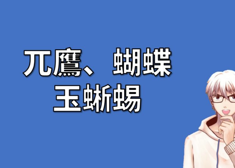 選擇權策略：兀鷹蝴蝶玉蜥蜴
