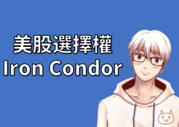 美股選擇權鐵兀鷹