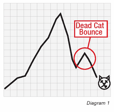 dead-cat bounce